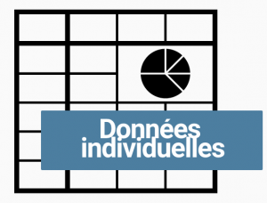 Logo excel données individuelles (grisé)
