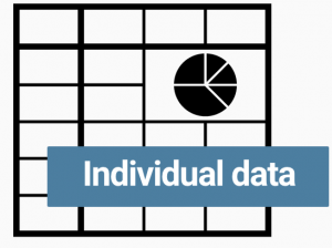 Logo excel individual data (grisé)